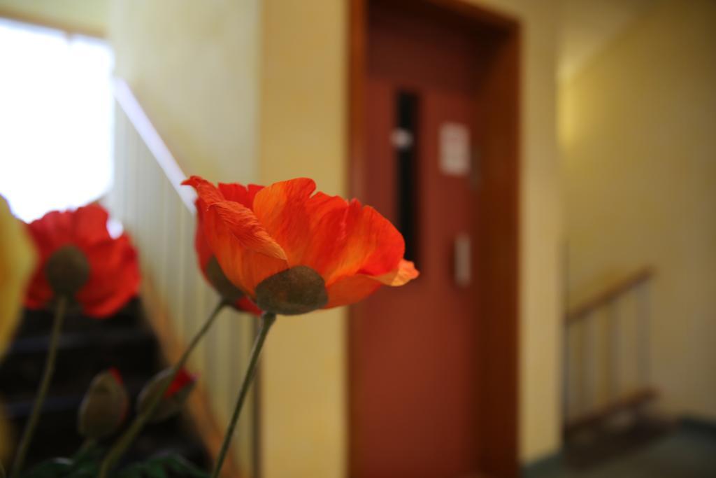 Hotel Zum Weissen Roessel Walldorf  Buitenkant foto